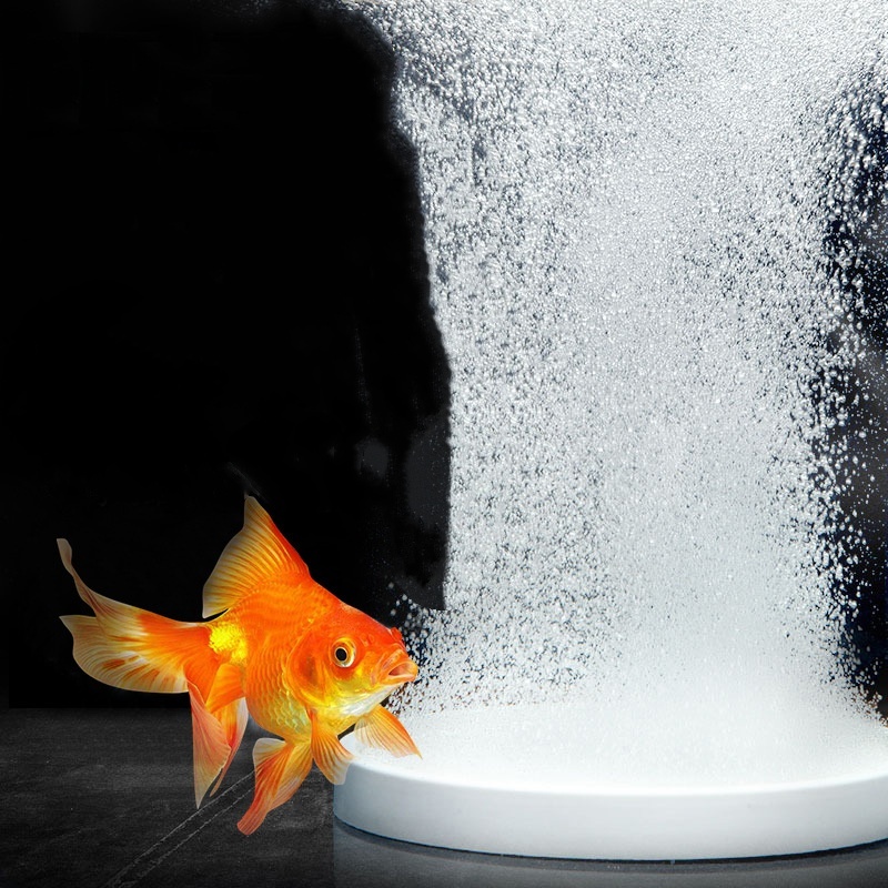 Marine Aquarium Nano - Nano-Disc-Luftstein-Sauerstoffbelüfter für Aquarien - Blasendiffusor Luftpumpe