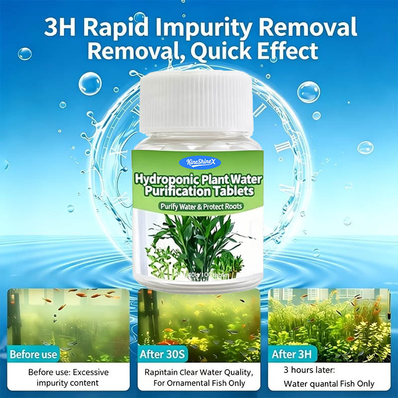 Hydroponische Wasserreinigungs – Marine Aquarium Bacteria Bewertung und Preis