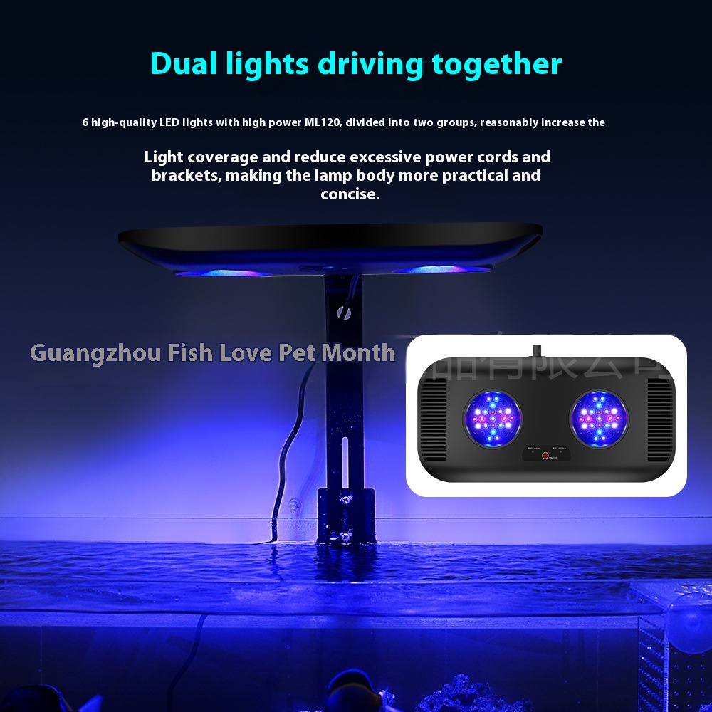Jebao Marine Light WiFi Korall – Aquarium Marine Fishes Bewertung und Preis