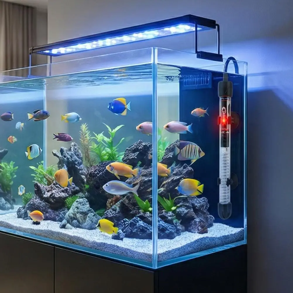 Einstellbarer Aquariumheizer 2 – Marine Aquarium Nano Bewertung und Preis