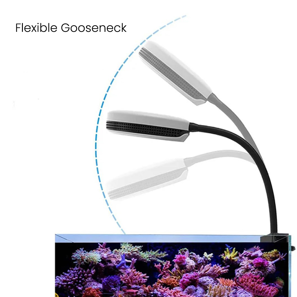 Spectra SP20 20W Aquarium LED- – Marine Aquarium Lamp Bewertung und Preis