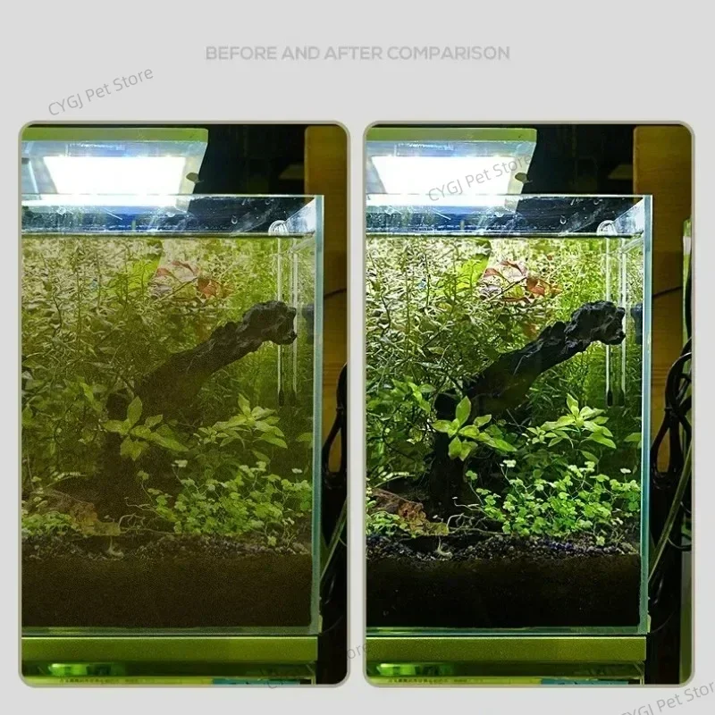Aquarium Reinigung Werkzeug Fl – Marine Aquarium Bacteria Bewertung und Preis
