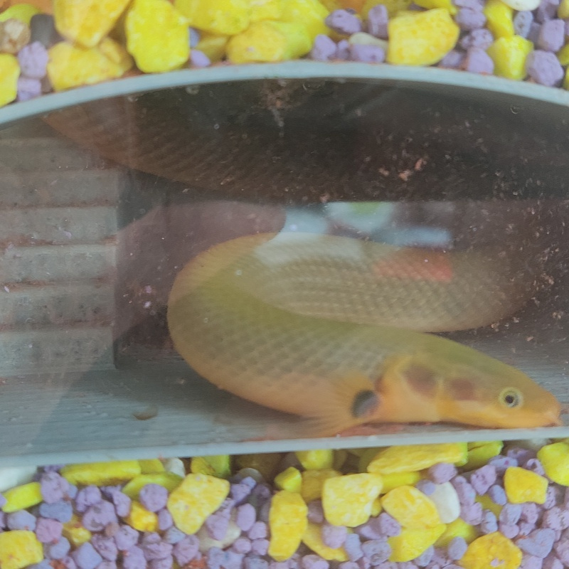 Unterirdisches Aquarium mit Tr – Aquarium Marina Bewertung und Preis