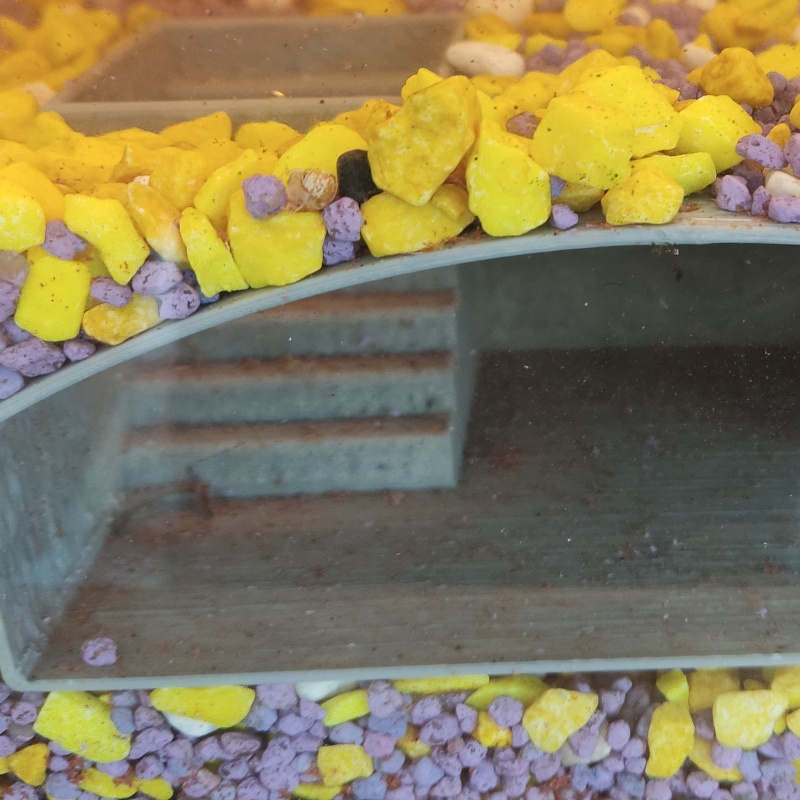 Unterirdisches Aquarium mit Tr – Aquarium Marina Bewertung und Preis