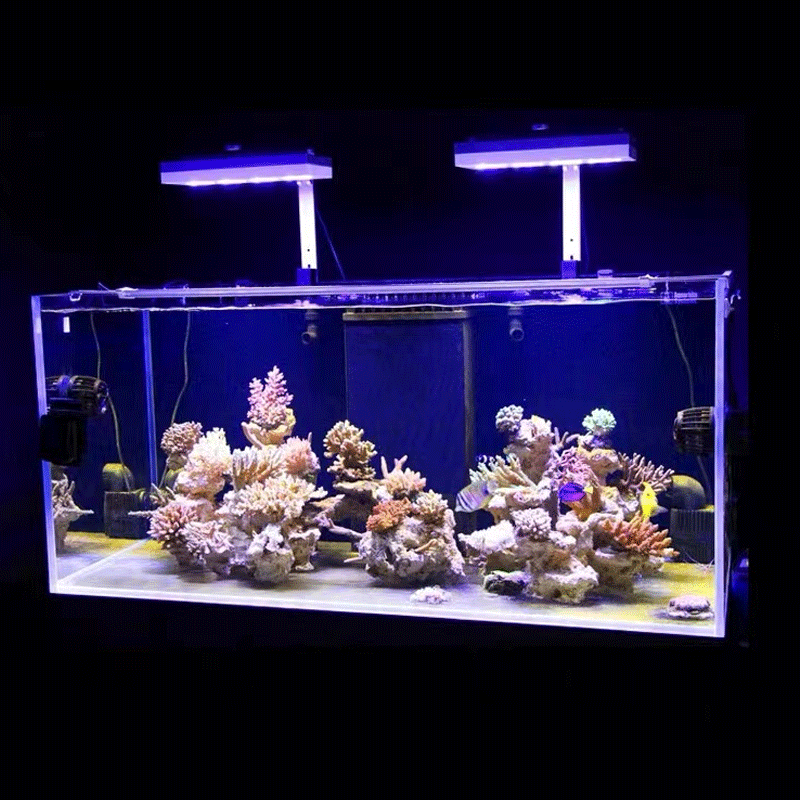Aqua Lighting AI Hydra 32HD/64 – Aquarium Marine Fishes Bewertung und Preis