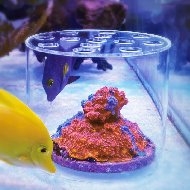 Vastocean Aquarium Acryl-Koral – Marine Aquarium Reef Bewertung und Preis