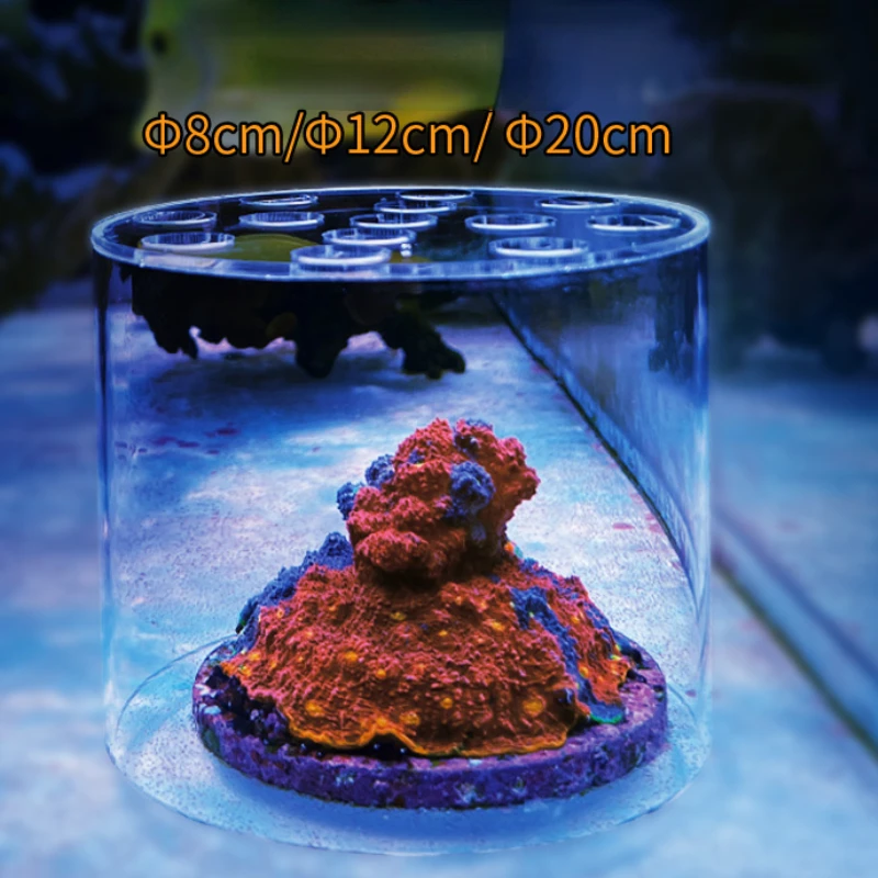 Vastocean Aquarium Acryl-Koral – Marine Aquarium Reef Bewertung und Preis