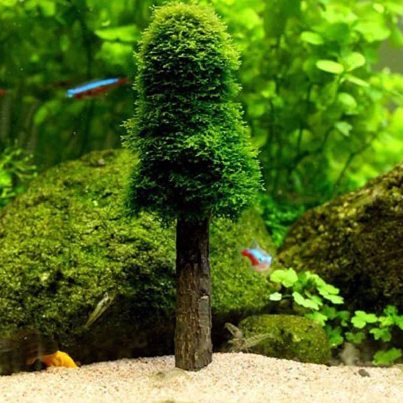 Aquarium Dekoration Simulation – Aquarium Marina Bewertung und Preis