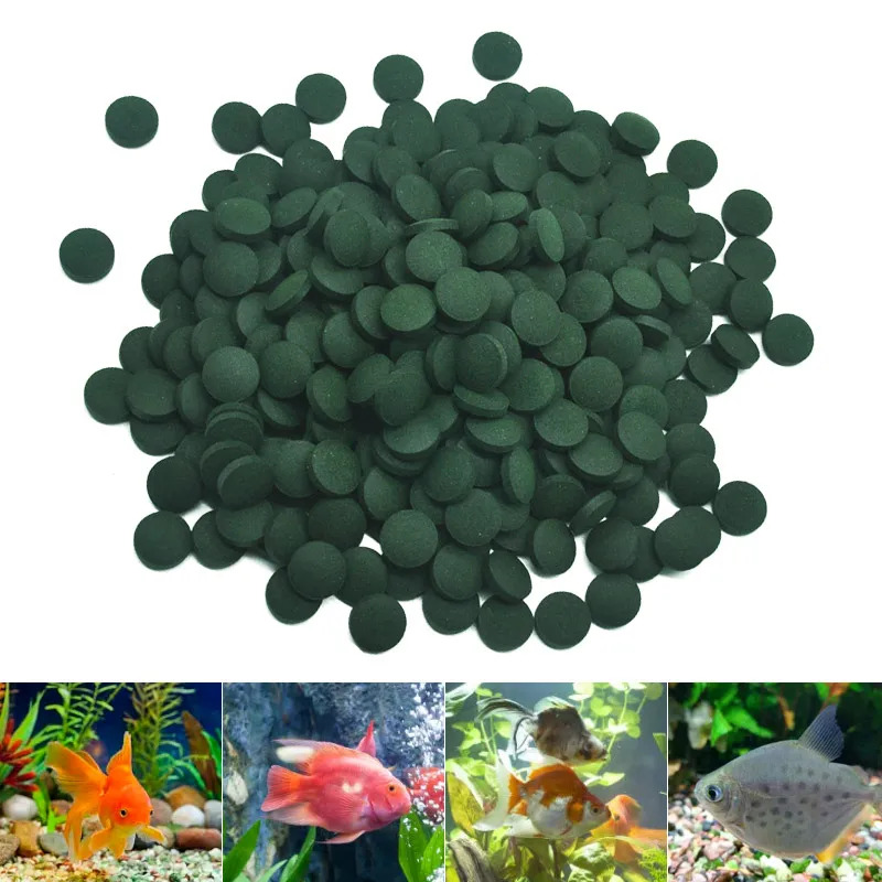50–300 Stück hochreine Spiruli – Marine Aquarium Bacteria Bewertung und Preis