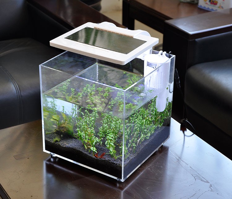 Mini-Acryl-Aquarium (25*25*25c – Aquarium Marina Bewertung und Preis