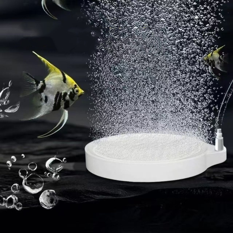 Nano-Disc-Luftstein-Sauerstoff – Marine Aquarium Nano Bewertung und Preis